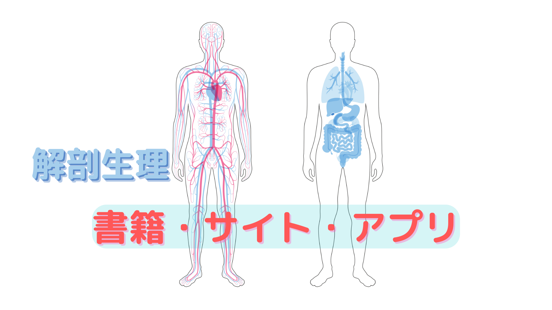 N.Labで使用している解剖生理書籍・サイト・アプリ